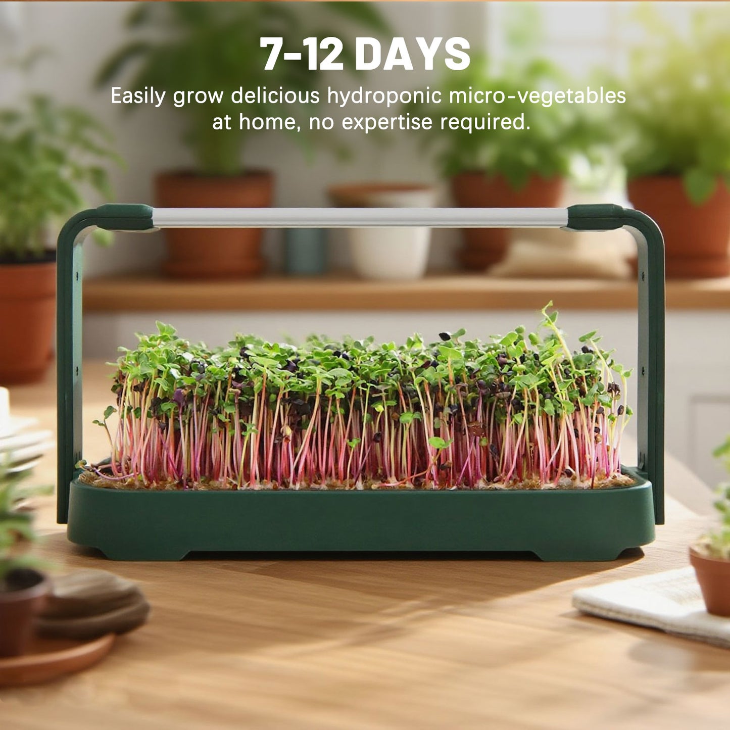 🪴 Genie Sprout – Automated Microgreens Grow Kit